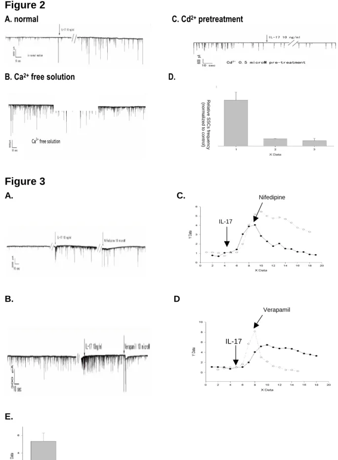 Figure 2 A. normal                                                            C. Cd 2+  pretreatment                 B