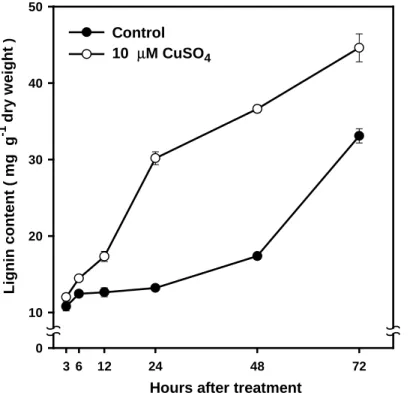 Figure 5. Effect of Cu on the lignin content during the course of treatment  in soybean roots