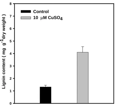 Figure 6. Effect of Vu on the lignin content in Cu-treated soybean root tips  (1 cm) after 3 h incubation