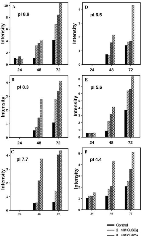 Figure 8. Quantification of peroxidase activity in soybean roots of  Cu-treated and control tissue