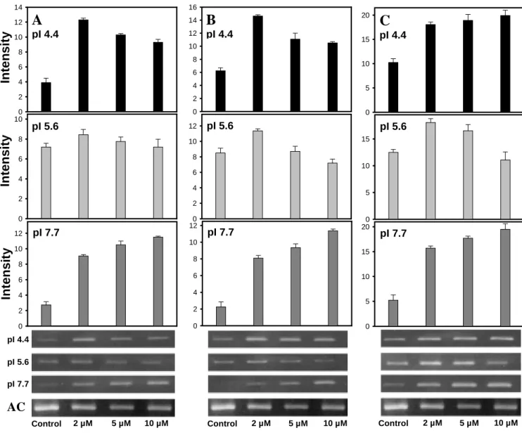 Figure 10. The effect of Cu on the transcript accumulation of peroxidase  isozymes. ( A ) after 6 h incubation, ( B ) after 12 h incubation, ( C ) after  24 h incubation