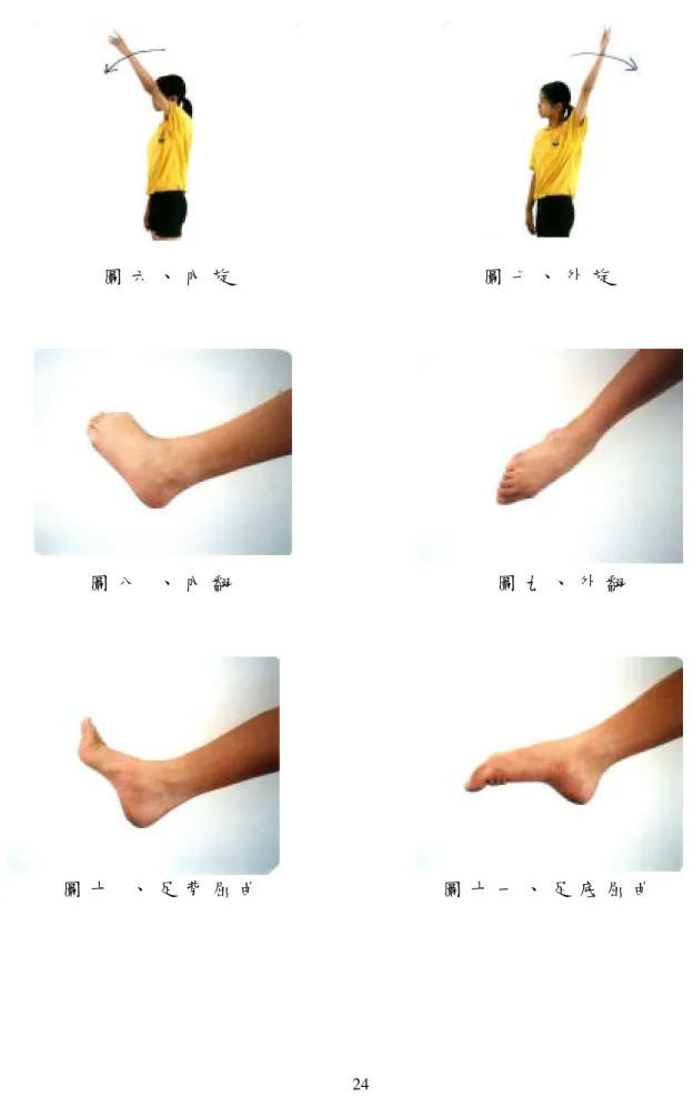 圖 六 、 內 旋                                     圖 七 、 外 旋  