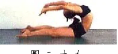 圖 二 十 九  
