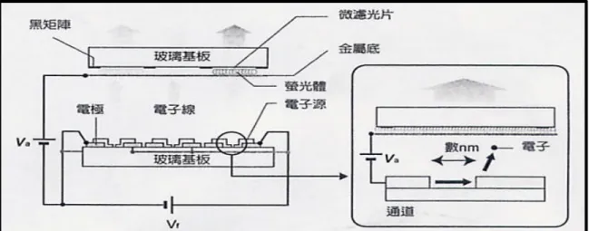 圖 3-20：FED-SED 基本結構  