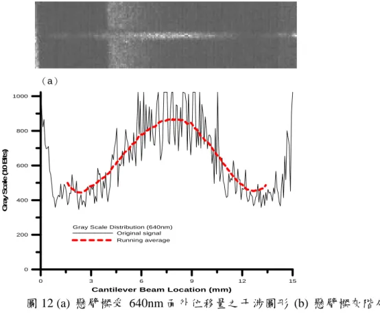 圖 13 (a)懸臂樑受 80nm 面外位移量之干涉圖形(b)  懸臂樑灰階分佈