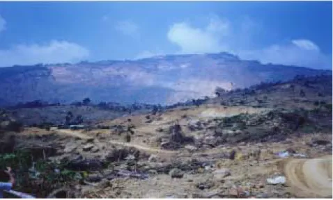 圖 3.2  九份二山大山崩     (2) 地滑  地滑為岩石或土壤貼沿著一明顯的破壞面向下坡處或向外運 動，與未滑動體間產生相對的剪切位移，運動土石的破壞程度較低， 部份仍可維持其內部構造。在台灣，最常見者為平面型地滑和弧型 地滑。平面型地滑常見於岩石邊坡之中，與地質構造因素間的關連 性較崩落型為高，該類滑動之滑動面為既存於岩體當中的不連續 面，不連續面的傾斜方向和坡向相同，即所謂的「順向坡」，當不 連續面之傾角大於滑動面上的溼內摩擦角，且坡腳因為自然作用的 切蝕或人為的開挖而形成自由端時即會發生滑動，