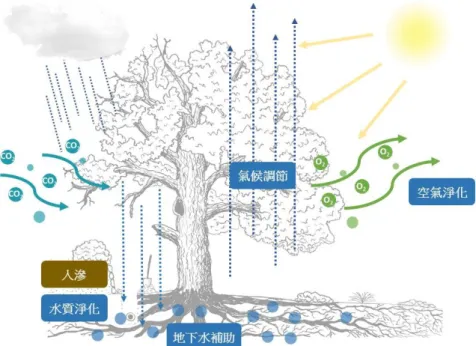 圖 3-6  大自然水文微循環功能示意圖  資料來源:本研究整理  而 LID 設施在不同層級，亦有不同的訴求，在社區層級主要係針對 街道、公園、停車場空間、街廓設計(比較類似國內都市設計準則)提出 建議，建議內容包括將調節池、溼地、滲水坑(高程差設計產生之水坑) 導入公園設計等，或將透水鋪面、滲透側溝導入街道設計，不要讓佔據 都市化土地高比例的道路空間(17%-26%)僅服務交通，或以整合街廓內的 綠地系統概念，指定 LID 設施配置區位使其成為一個帶狀式的綠地空間， 有機會透過水文歷程最大化，提升其治水