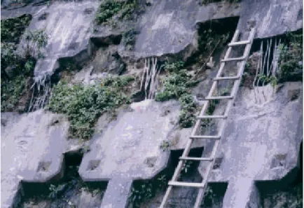 圖 3.5  擋土牆改善工程      b.  歐洲聯邦前面之擋土牆有嚴重之滲水，建議裝設水位計與 水壓計並做改善工程。    c.  裂縫計佈設之攝影圖    圖 3.6  裂縫計(玻璃片)