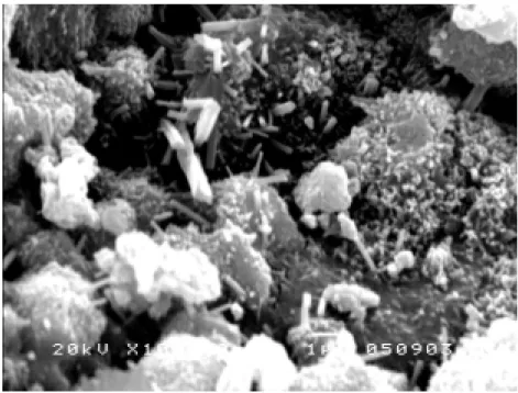 圖 3.33 花崗岩水泥漿體經室溫養護 28 天的 SEM 圖（×10000） 