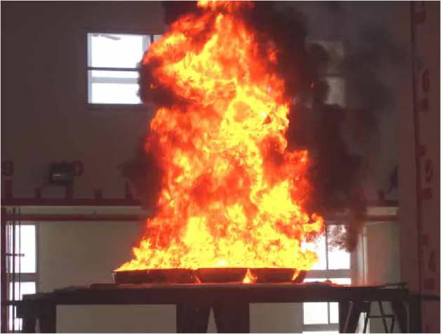 圖 22  10*-15Hz 油盤燃燒實驗後期水沸騰之火焰型態 