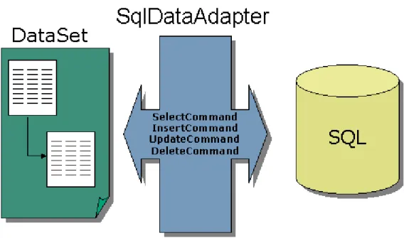 圖 2-3、   DataAdapter  和   DataSet   
