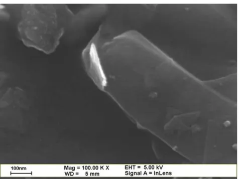 圖 2.26 BH30001N 系統下捲成棒狀奈米結構之 SEM 圖 
