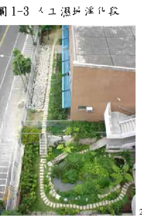 圖 1-3 人工濕地淨化段 
