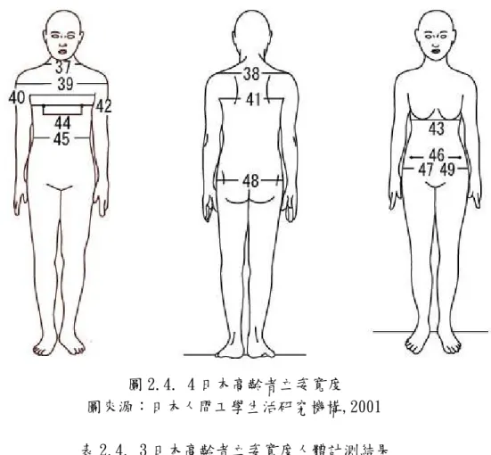 圖 2.4. 4 日本高齡者立姿寬度                圖來源：日本人間工學生活研究機構,2001 