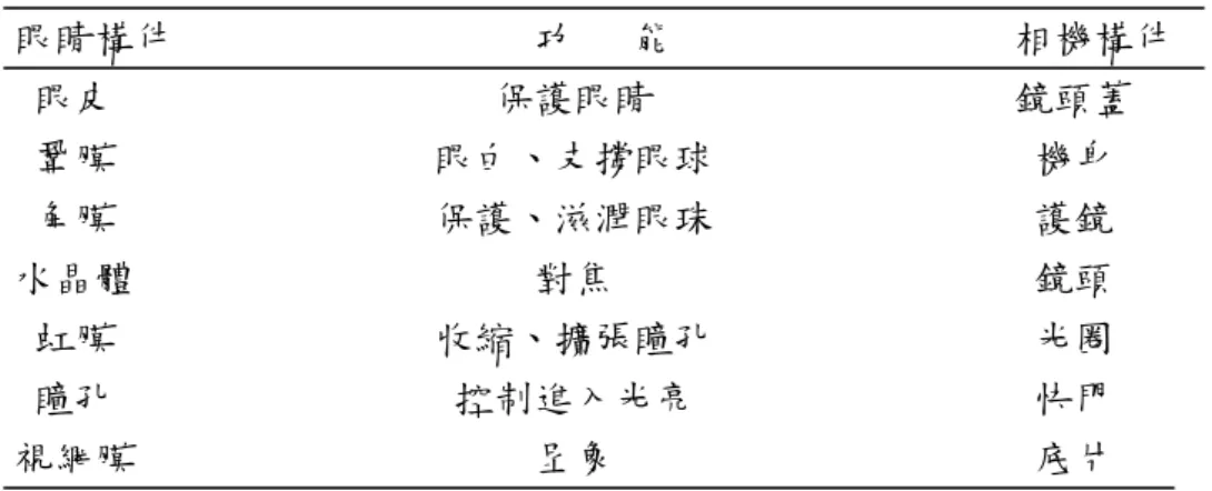 圖 2-1.2  錐狀細胞、桿狀細胞在視網膜密度分布                          表 2-1.1 眼睛功能與相機之類比          眼睛構件                  功   能                 相機構件          眼皮                   保護眼睛                  鏡頭蓋          鞏膜                眼白、支撐眼球                機身          角膜       