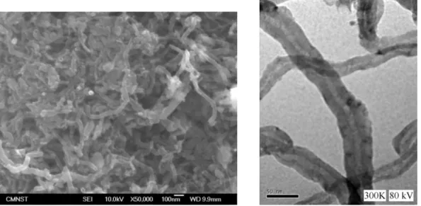圖 3-4 十二烷基硫酸鈉表面包覆奈米碳管之 SEM &amp; TEM  (資料來源〆本團隊自行拍攝) 