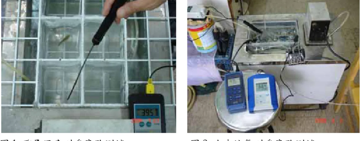 圖 3 氨氮急毒性耐受實驗測試 