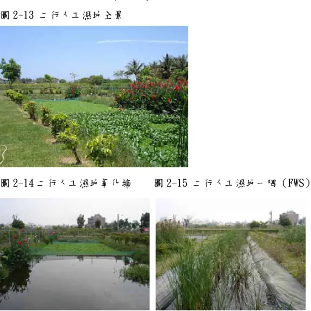 圖 2-13 二行人工濕地全景 