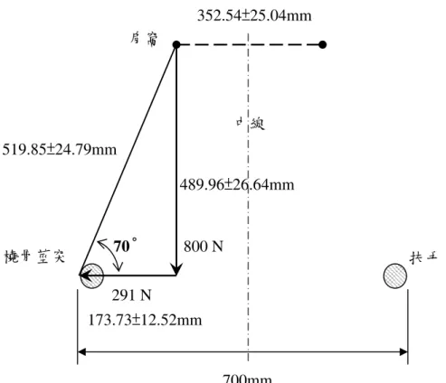 圖 3-1  扶手水平服務載重幾何圖解 700mm 489.96±26.64mm 519.85±24.79mm 173.73±12.52mm 352.54±25.04mm  扶手 肩窩 橈骨莖突 中線 70°800 N 291 N 