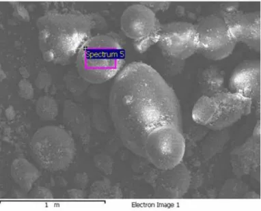 圖 4-3  聚乙烯-醋酸乙烯樹脂微觀分析 