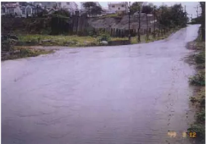 圖 3-6-2 道路缺乏橫向截流溝，地表水四處漫流 