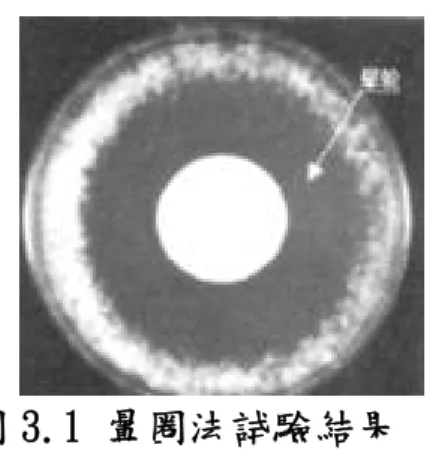 圖 3.1 暈圈法試驗結果  資料來源：紡織導報，2006，(3):50-59  2.AATCC-90 試驗改良法      AATCC-90 試驗法改良之一(噴霧法)是在培養後的試樣噴灑一定 量 TNT 試劑，肉眼觀察試樣上菌的生長情況。其發色原理為 TNT 試劑 因試驗菌的琥珀酸脫氫酶的作用被還原，生成不溶紅色色素而顯紅 色，從而達到判定抗菌性的目的。該種方法的優點就是無論試樣是否 有抑菌圈形成，只要平板上有細菌生長，就會顯出紅色。      3.AATCC-l00 試驗法          AATCC
