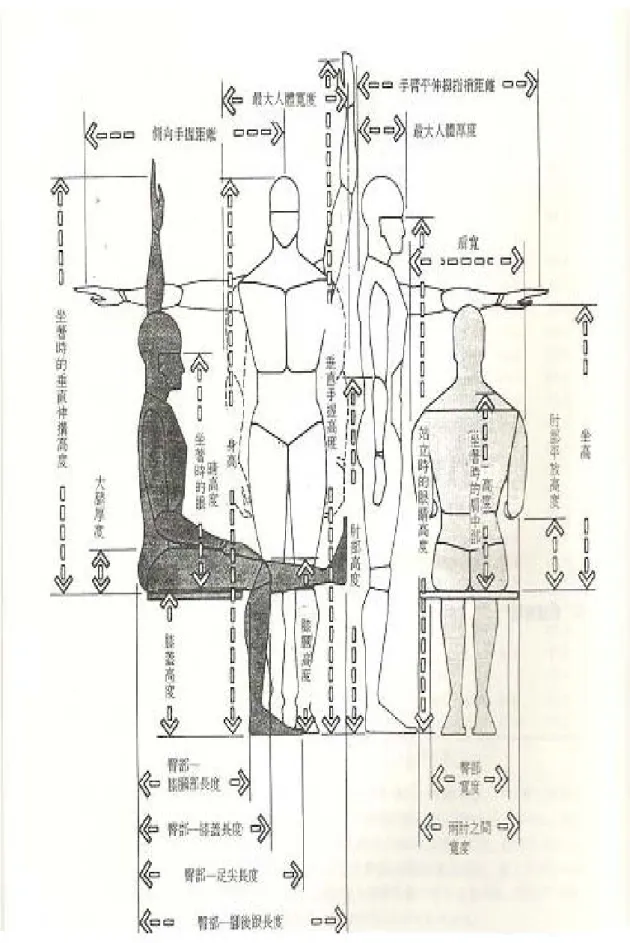 圖 2-1.3 室內設計者常用的 24 個人體測量尺寸  圖來源：「體尺度與空間設計」p.8 