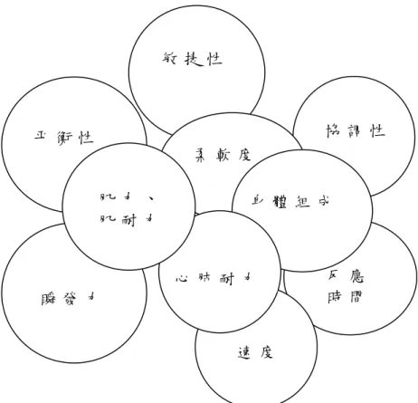 圖 2 - 1   健 康 體 適 能 與 運 動 體 適 能 關 係 圖 （ 吳 慧 君 ， 1 9 9 9 ）           綜 合 以 上 國 內 外 專 家 學 者 的 論 述 可 知 ， 健 康 體 適 能 是 指 個 人 對 於 生 活 中 活 動 的 作 業 能 力 ， 是 由 身 體 幾 組 或 幾 種 不 同 特 質 的 體 能 所 構 成 ， 是 一 個 組 合 的 概 念 。 其 發 展 目 的 不 僅 在 於 促 進 個 人 身 體 的 健 康 ， 而 且 能 有 效 提 昇 