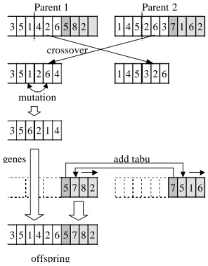 Figure 3.1: Chromosome structure 