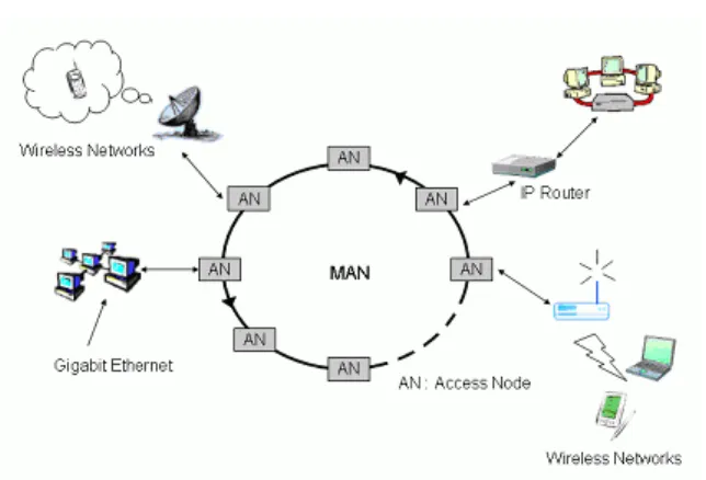 Fig 1. Network architecture for MAN ring networks. 