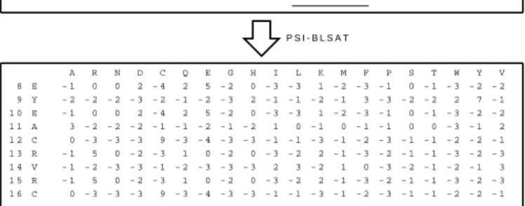 Fig. 1. A local profile generated by PSSM with a window of 9 residues.