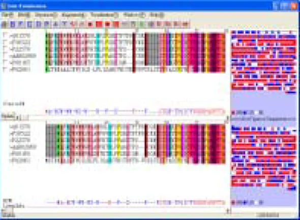 Fig. 4. User-defined display segmentation 