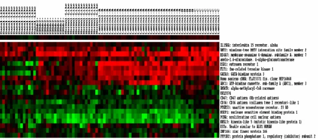 Figure 3. The expression profiles of predictor genes (20 genes) from experimental dataset