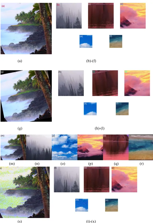 Fig. 10. A sample of test images: (a)-(f) show six database images of different sizes; (g)-(l) show the  corresponding rotated images; (m)-(r) show the corresponding scaled images; and (s)-(x) show the  corresponding noisy images