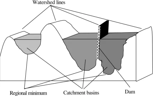 Fig. 3. Topographic view of watershed tranformation. 