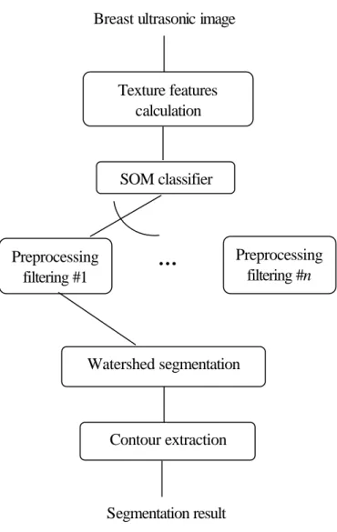 Fig. 5.  The structural diagram of the proposed contour detection scheme. SOM classifier Texture features calculation Preprocessing filtering #1Watershed segmentation Contour extraction Breast ultrasonic image 