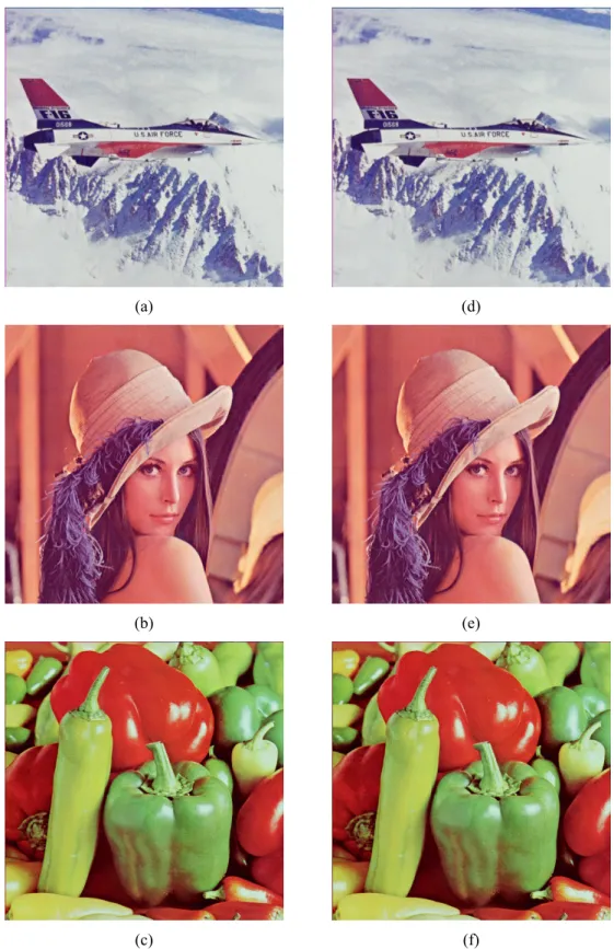 Figure 4. The cover images and the fragile watermarked images (a) Cover image “Jet”. (b)  Cover image “Lena”