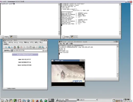 Figure 8. Mplayer on the client side 