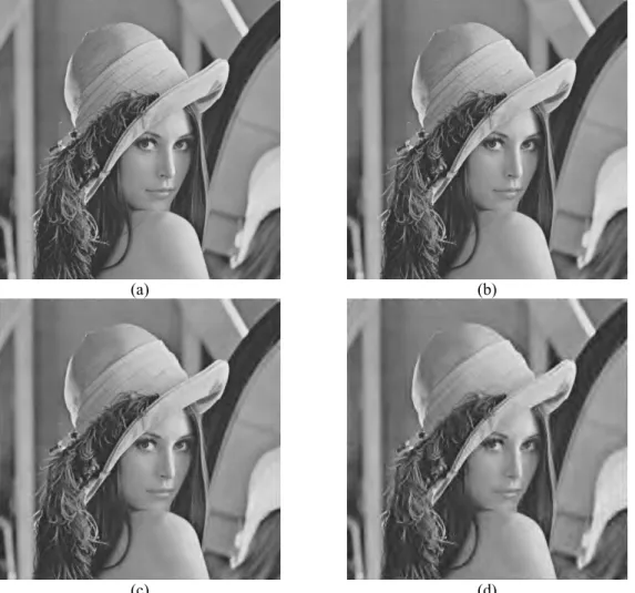 Fig. 9. Compressed Lena images using AZE. (a) Rate = 1.0 b/pixel (PSNR = 40.12). (b) Rate = 0.5  b/pixel (PSNR = 36.95)