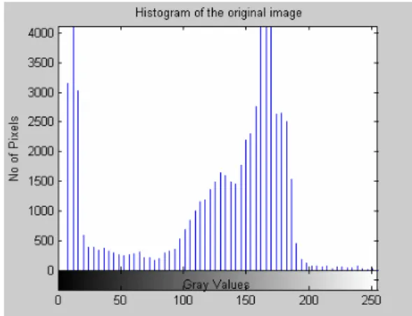 Figure 2  The memberships function for the gray  levels in the original image. 