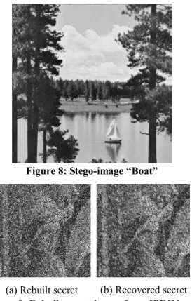 Figure 8: Stego-image “Boat” 