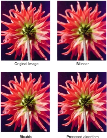Figure 6 shows a flower test image and its interpolated  images produced with different interpolation schemes