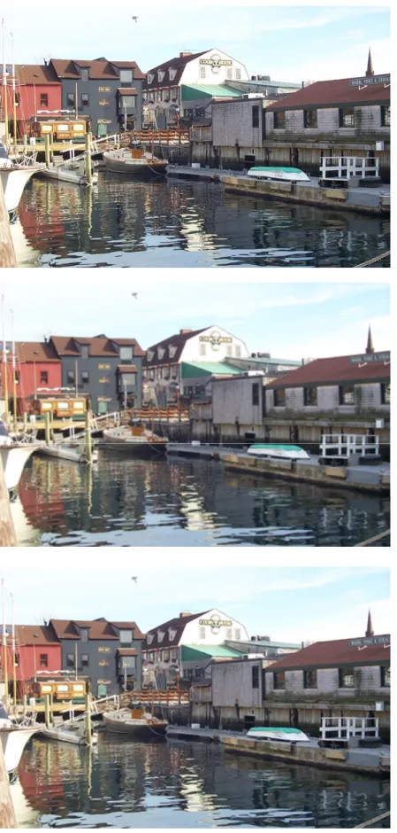 Figure 8: Original scene image and its interpolated results. 