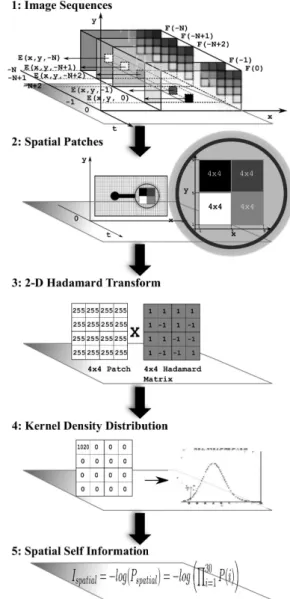 Fig. 2: Spatial Probability Distribution Function Plot.