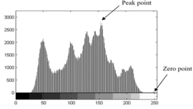Figure 1: Histogram of a sample image 