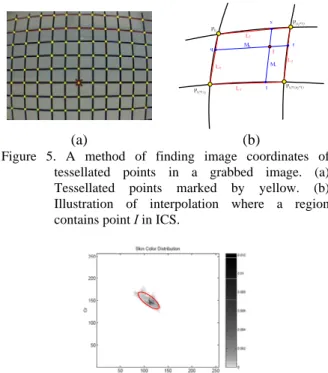 Figure 5. A method of finding image coordinates of  tessellated points in a grabbed image