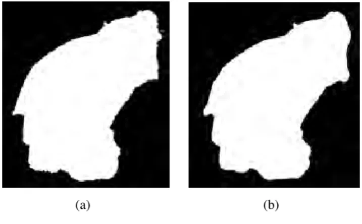 Fig. 9. The inaccurate silhouette result of volumetric graph cut.