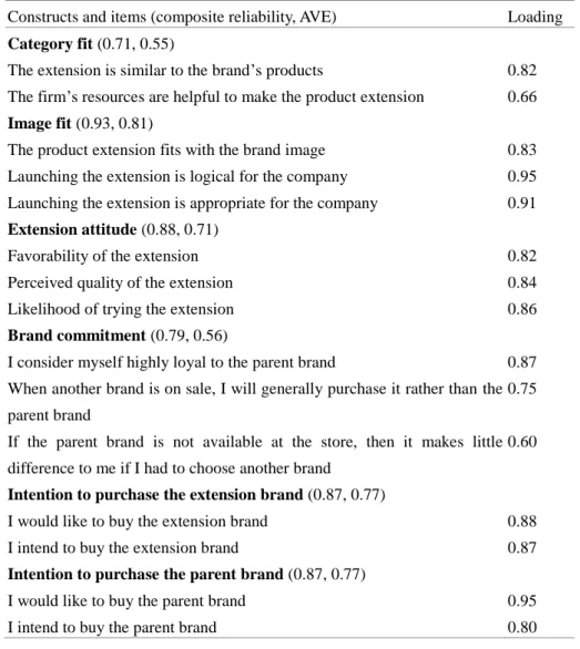 Table 1. Overview of the Multi-item Measures
