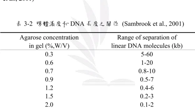 表 3-2  膠體濃度和 DNA 長度之關係  (Sambrook et al., 2001)  Agarose concentration 