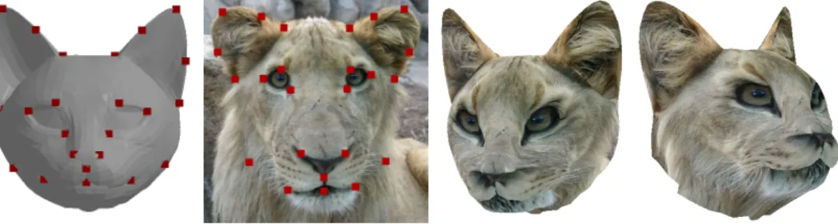 Figure 4. Texture mapping with positional constraints using warping scheme 